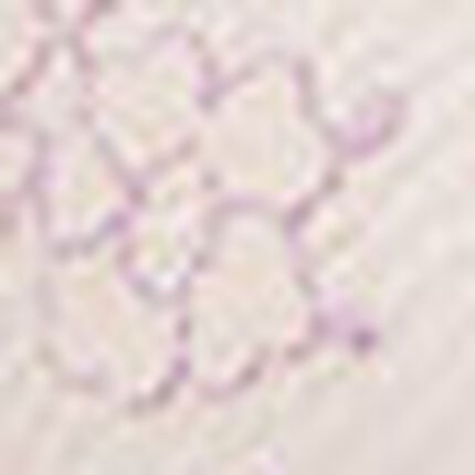 ブラジャー, , swatch