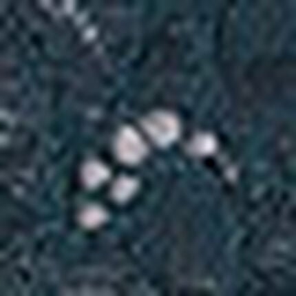 ショーツ, , swatch