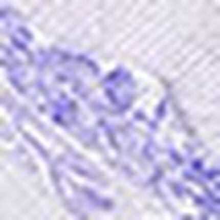 ３／４カップブラ, , swatch