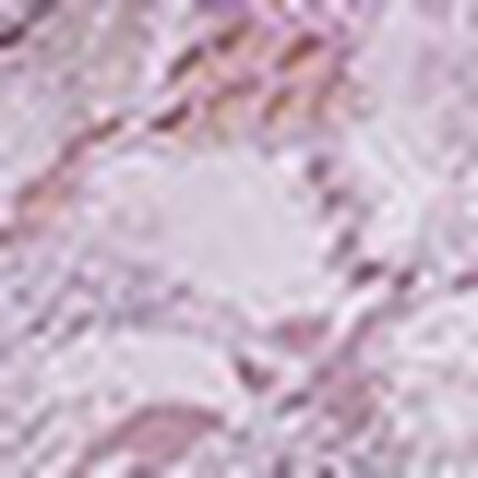 ショーツ, , swatch