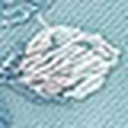 ショーツ, , swatch