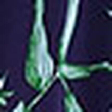 アウター　パンツ, , swatch