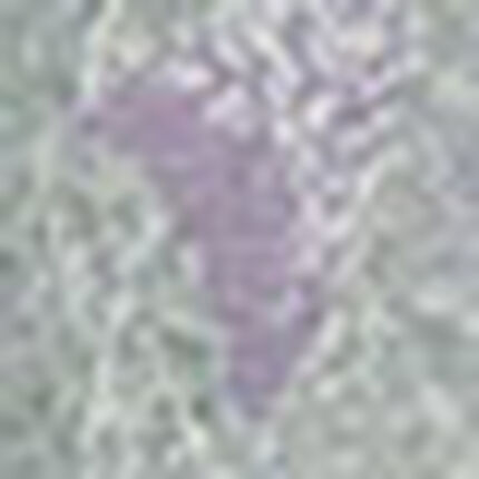 ジャカードチュニック, , swatch