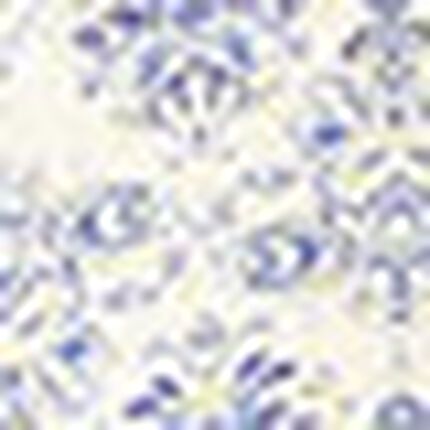 パジャマ, , swatch