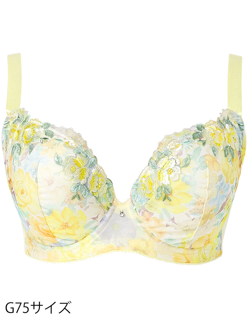 ３／４カップブラ, , hi-res