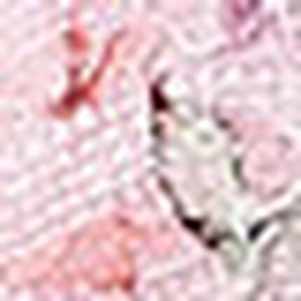 ３／４カップブラ, , swatch