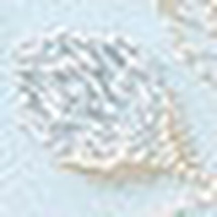 ショーツ, , swatch