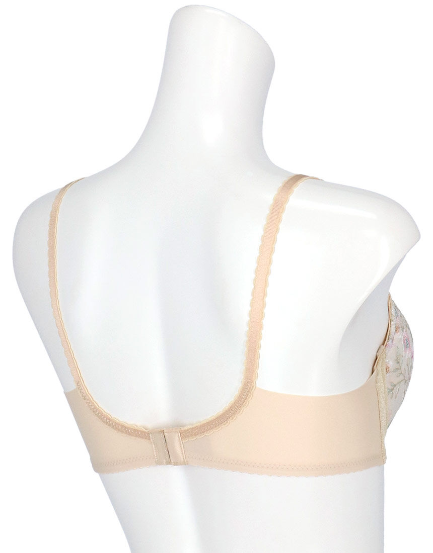 BBB 専用 PE Mouse Anti-Human TIGIT