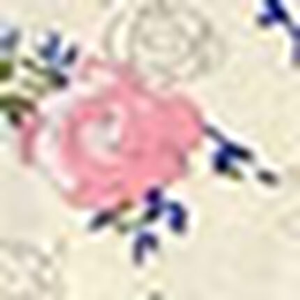 ノンワイヤーブラ, , swatch