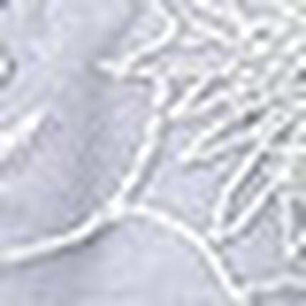 Ｔバックショーツ, , swatch