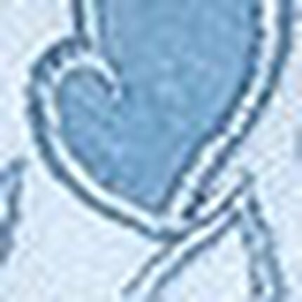 ３／４カップブラ, , swatch