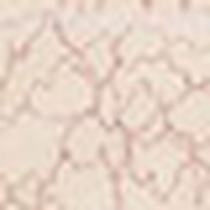 ショーツ, , swatch