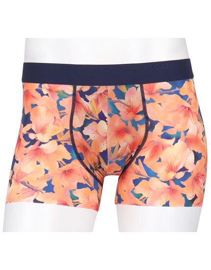 ボクサーパンツ（前閉じ）, , main