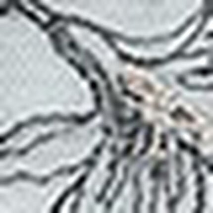 サニタリーショーツ, , swatch