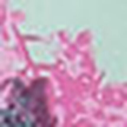 メンズボクサーパンツ, , swatch