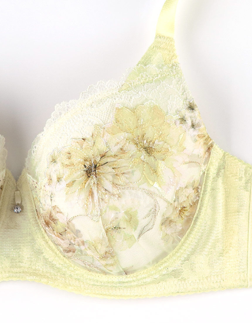 ワイヤーブラ（フルカップ）, , hi-res