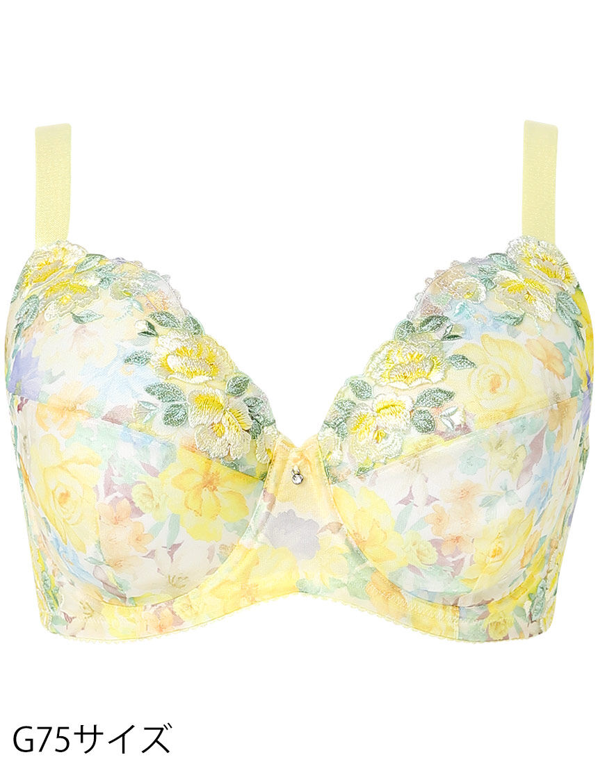 フルカップブラ, , hi-res