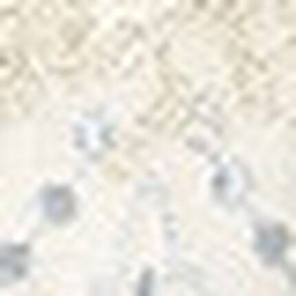 Ｔバックショーツ, , swatch