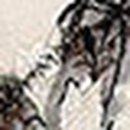 メンズＴバック, , swatch