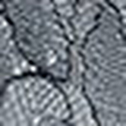 Ｔバックショーツ, , swatch