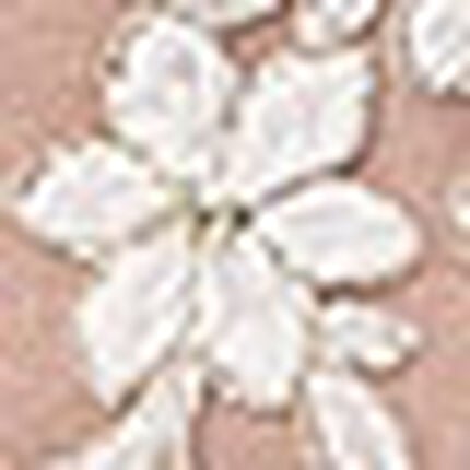 Ｔバックショーツ, , swatch