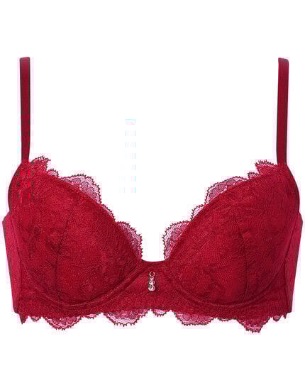 ワイヤーブラ（３／４カップ）, , main