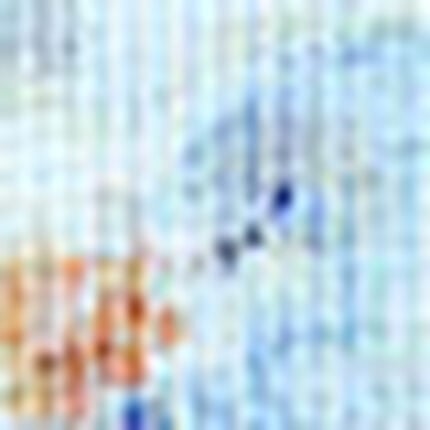 ガードル（ロング丈）, , swatch