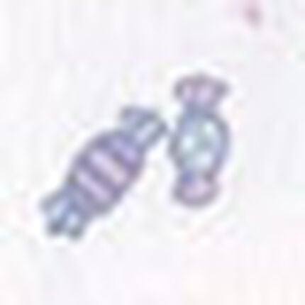 女児ショーツ, , swatch