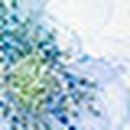 ショーツ, , swatch