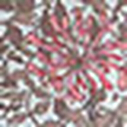 ウィリアム・モリス（Ｒ）プリントブラウス, , swatch