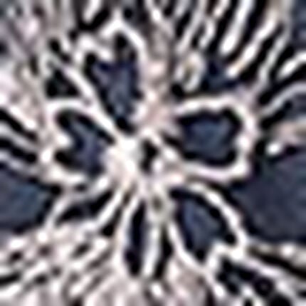 ショーツ, , swatch