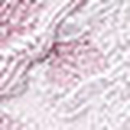 ショーツ, , swatch