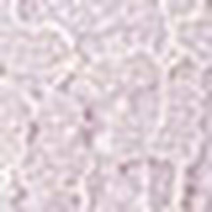 ３／４カップブラ, , swatch