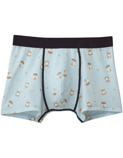 大人用ボトム（ボクサーパンツ）, , main