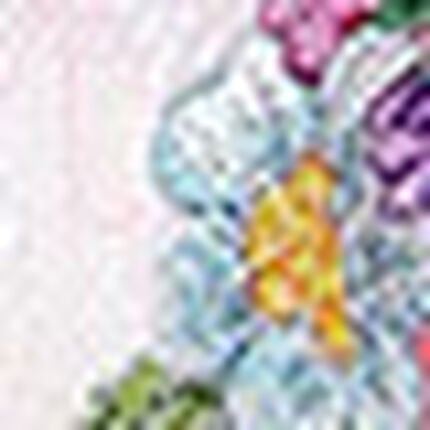 メンズＴバック, , swatch