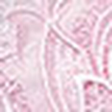 キャミソール, , swatch