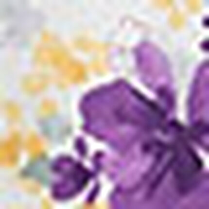 アウター　トップス, , swatch