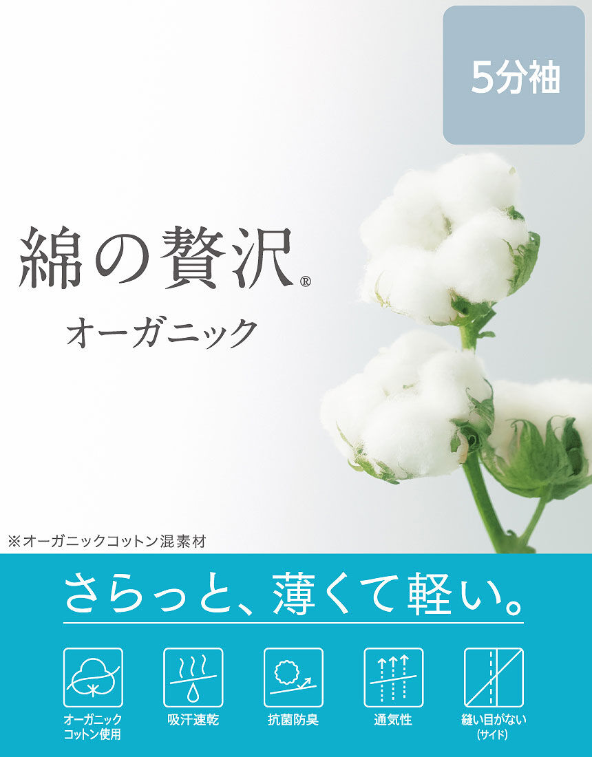 トップス（５分袖）, , hi-res