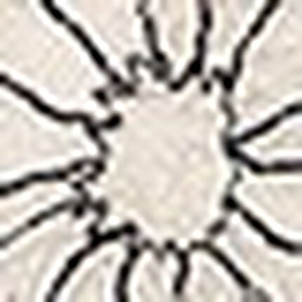 ショーツ, , swatch