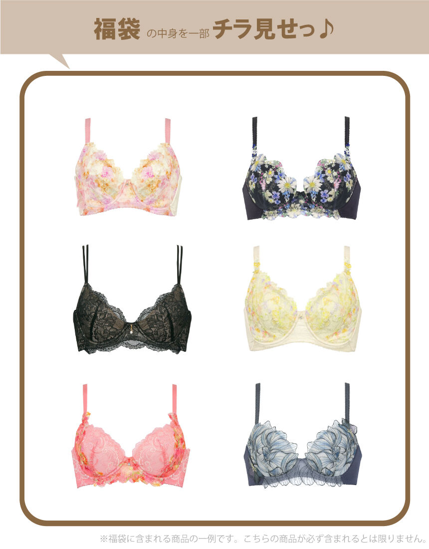 ウイング／レシアージュ ブラジャー3枚セット ブラジャー