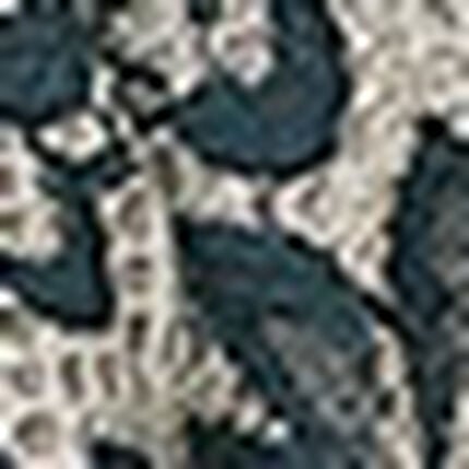 Ｔバックショーツ, , swatch