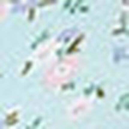 ノンワイヤーブラ, , swatch