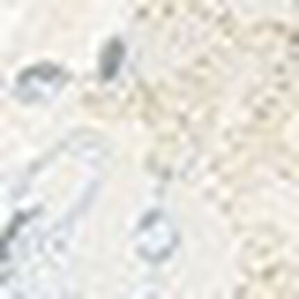 ３／４カップブラ, , swatch