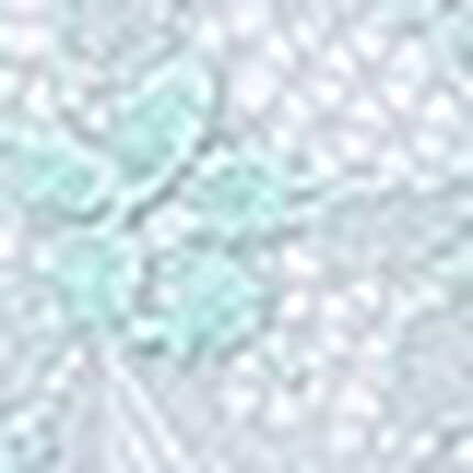 ショーツ, , swatch