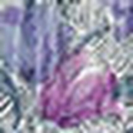 接結プリントトップス, , swatch