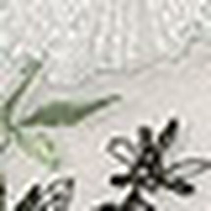 ショーツ, , swatch