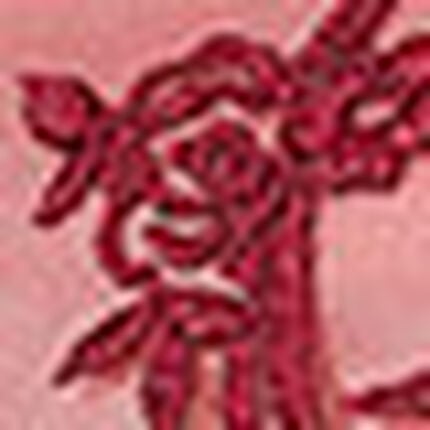 ノンワイヤーブラ, , swatch