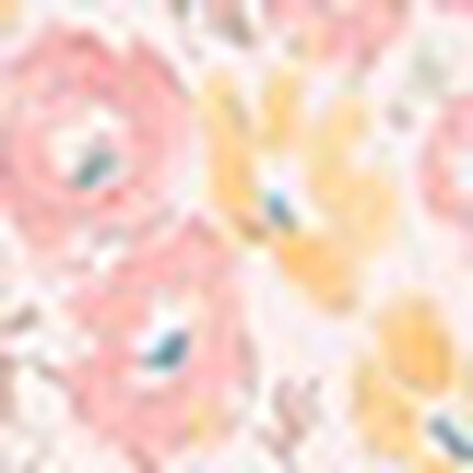 パジャマ, , swatch