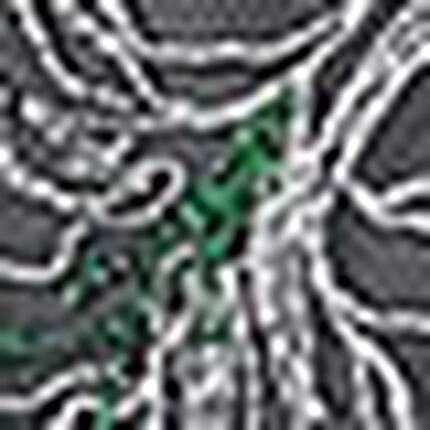 サニタリーショーツ, , swatch