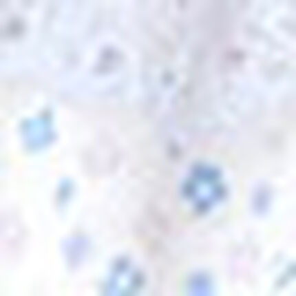 女児ショーツ, , swatch